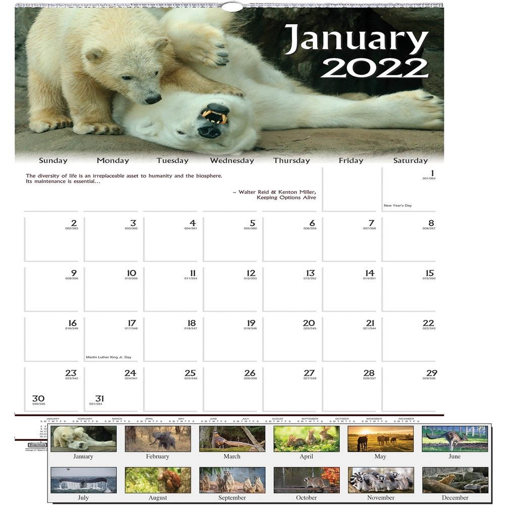 House of Doolittle  Calendar 3731