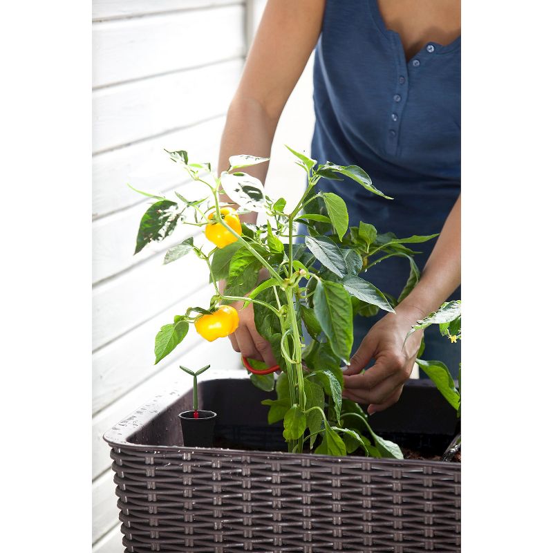 Easy Grow Elevated Rectangular Planter - Brown - Keter