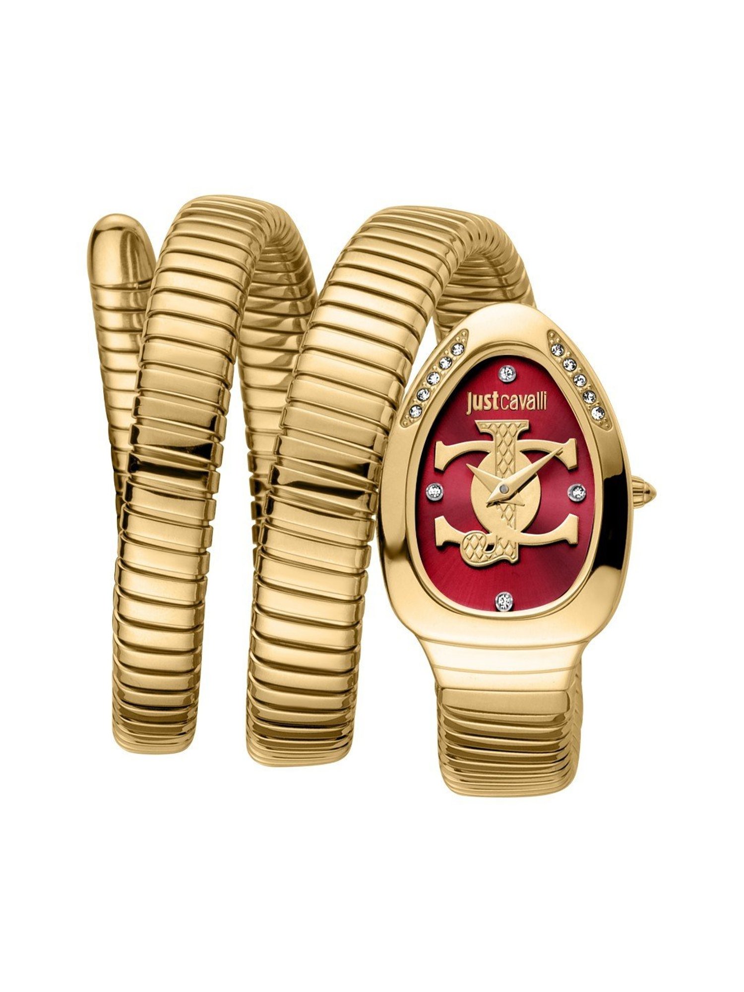 JUST CAVALLI JC1L228M0045 Glam Evo 5 Analog Watch for Women