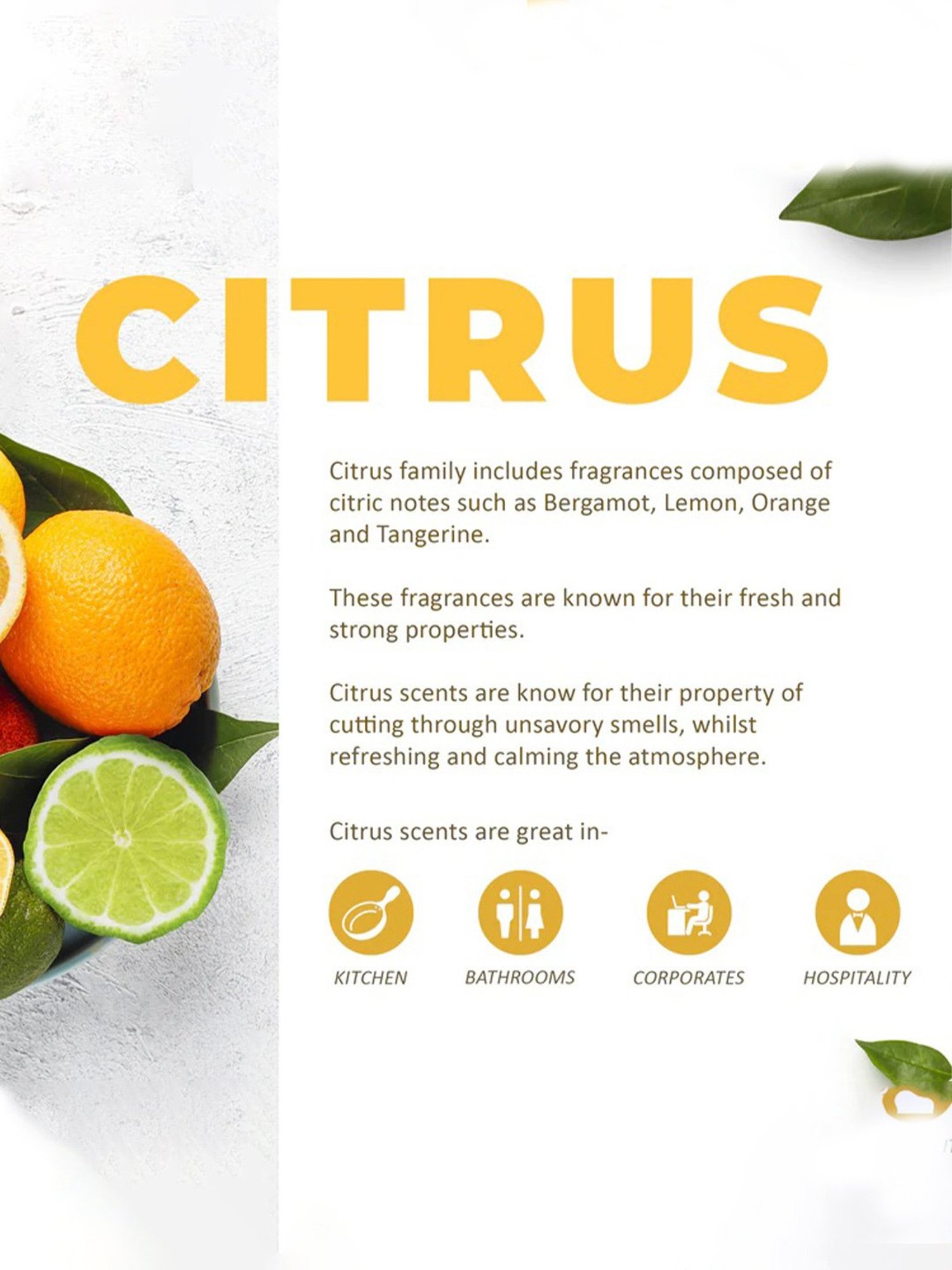 Rosemoore Scented Room Spray Lemon grass - (100 ml)