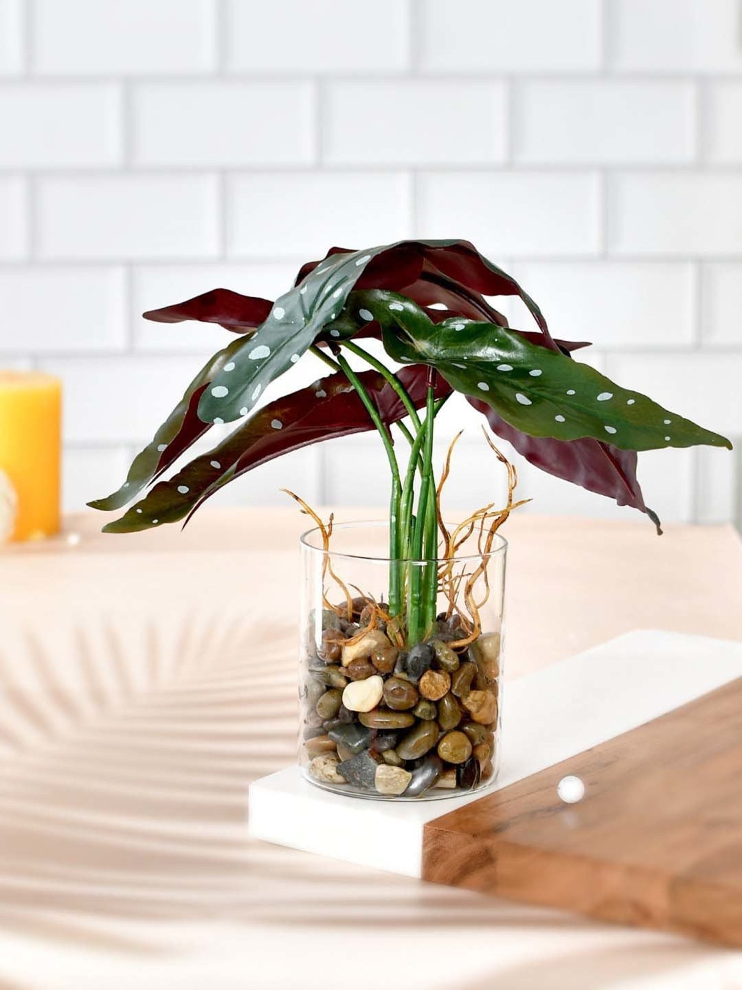 Tayhaa Green Ceramic Planter With Artificial Spotted Begonia Plant