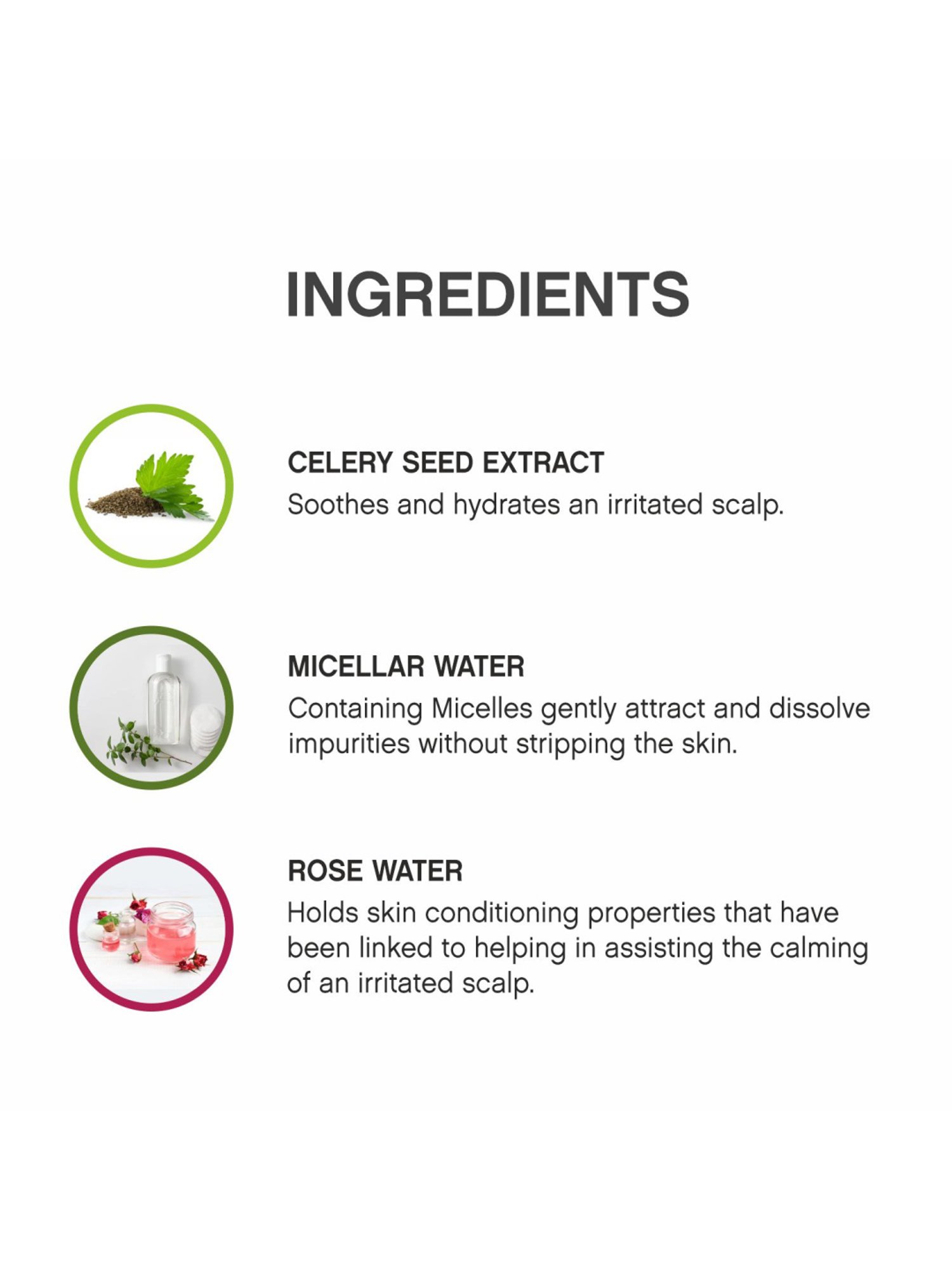 KEVIN MURPHY SCALP.SPA.WASH 250ML