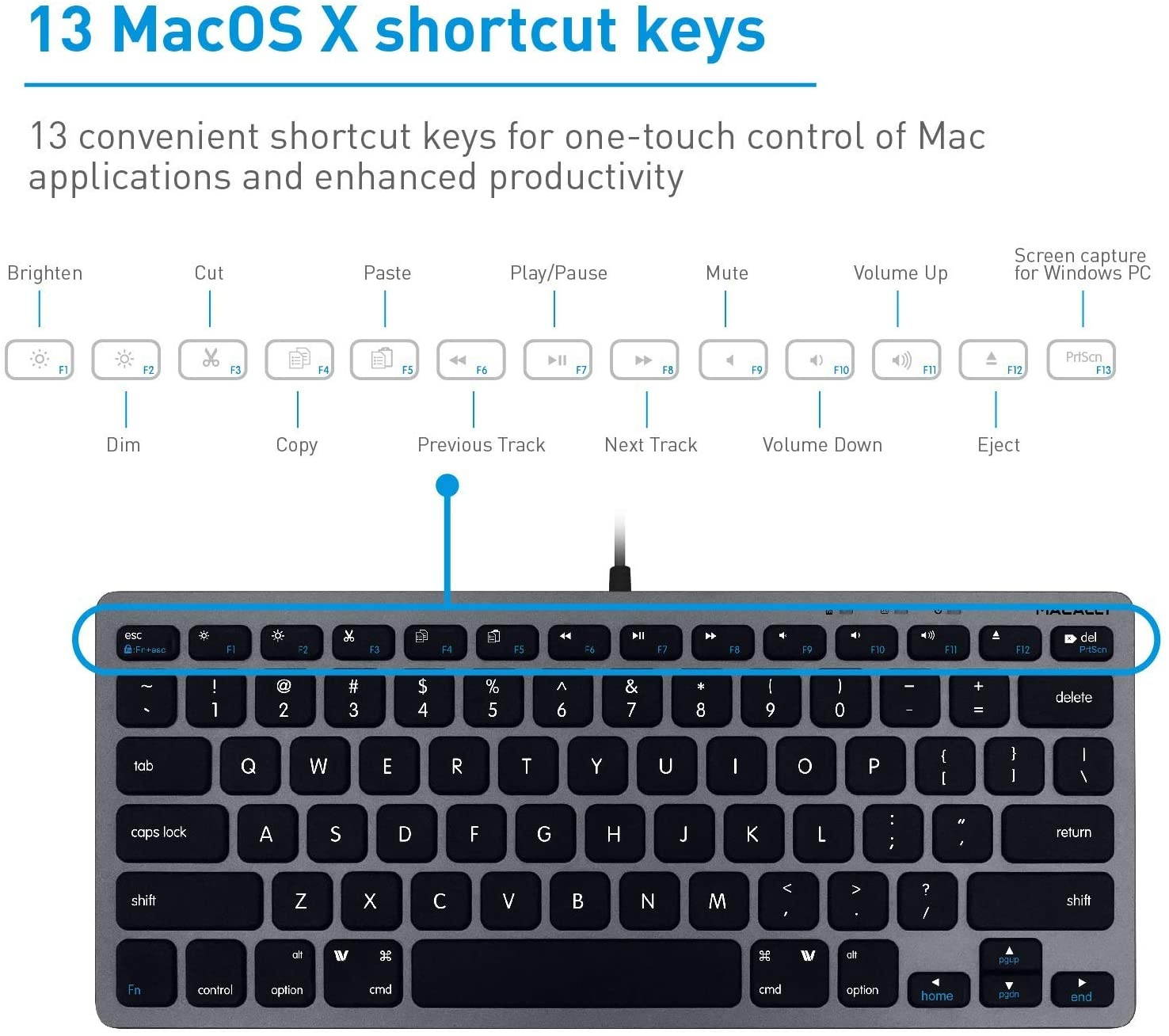 Macally Slim USB Wired Small Compact Mini Computer Keyboard for Apple Mac, iMac, MacBook Pro/Air, Mac Mini, Windows PC Desktops, Laptop (Space Gray)