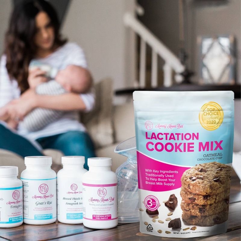 Mommy Knows Best Oatmeal Chocolate Chip Lactation Cookie Mix - 16oz