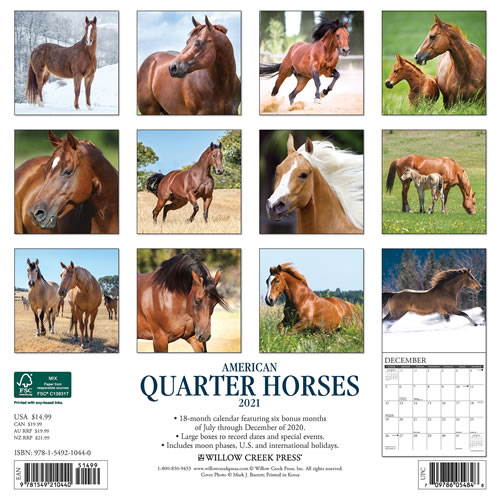 2021 American Quarter Horses Wall