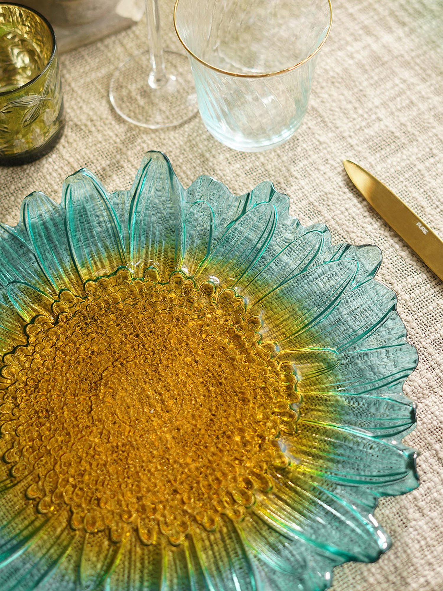 Pure Home and Living Blue Glass Dinner Plates