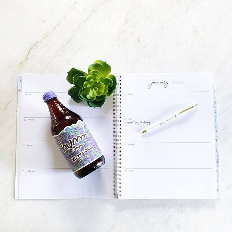 Humm Blueberry Mint Kombucha 14oz