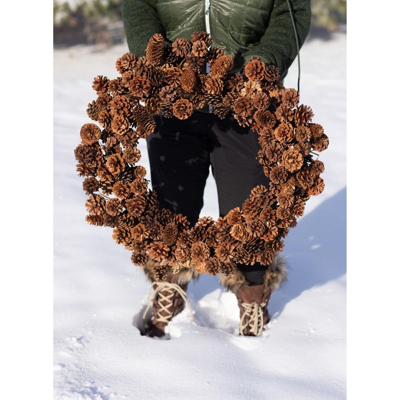 Northlight Frosted Pine Cone and Foliage Artificial Christmas Twig Wreath - 15 Inch, Unlit