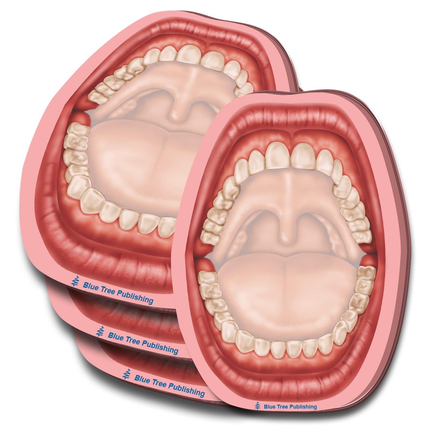 Anatomy Sticky Notes (Mouth 4 pack)