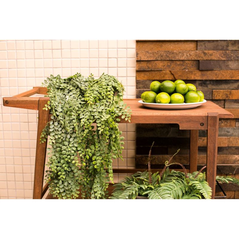 Otero Eucalyptus Wooden Outdoor Bar Trolley Cart - Alaterre Furniture