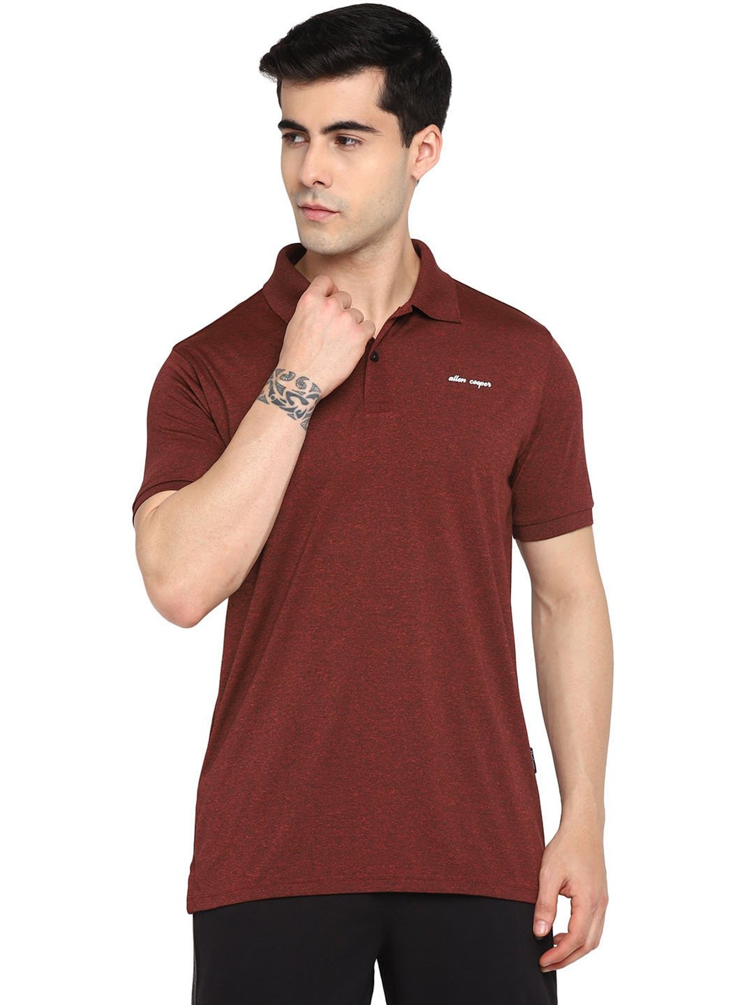 Allen cooper Rust Regular fit Polo T-Shirt