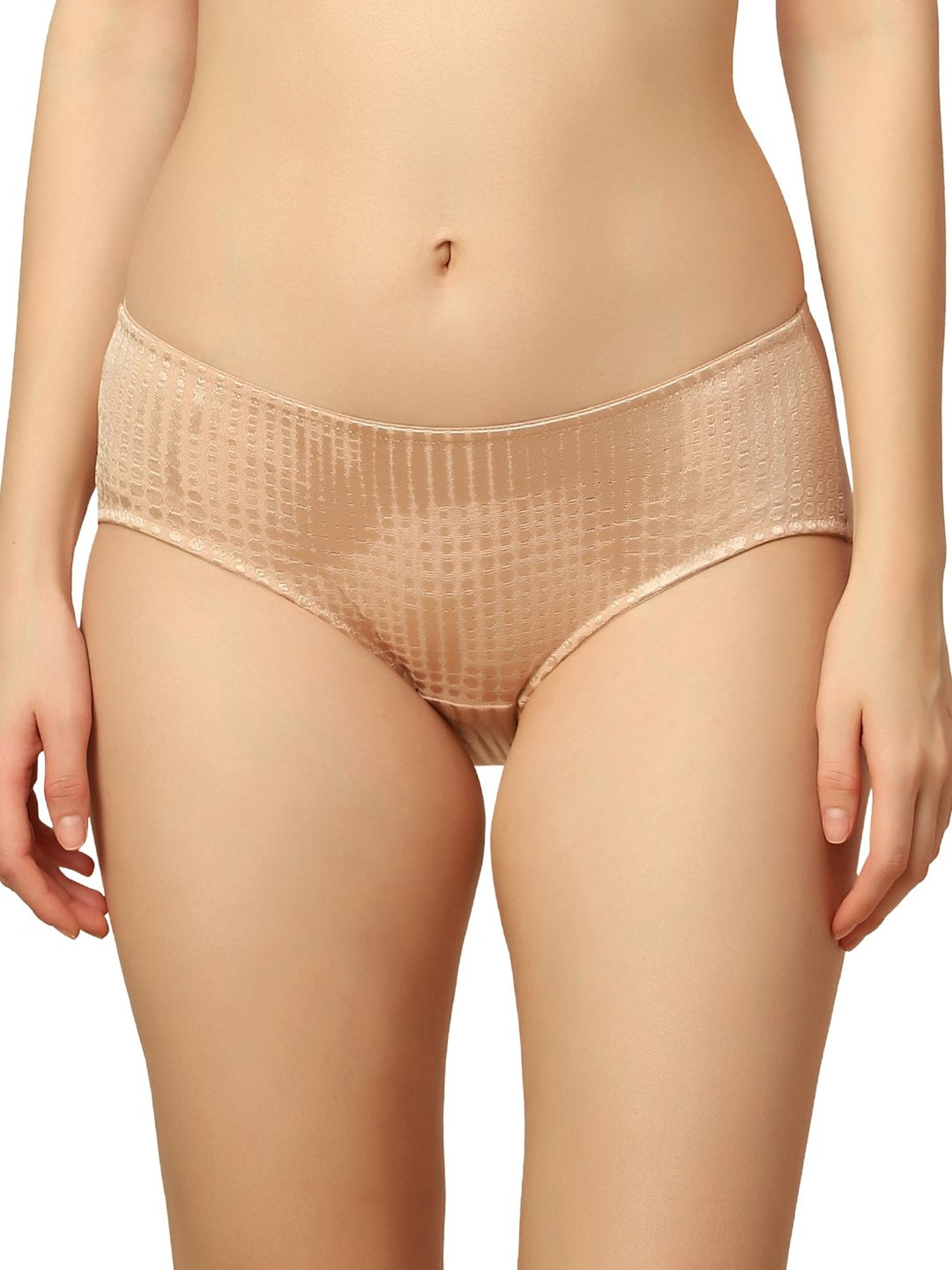 Triumph Beige Self Design Hipster Panty