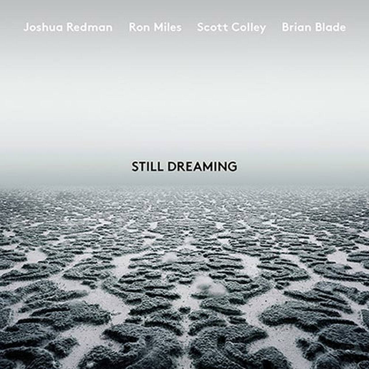 Joshua Redman Still Dreaming LP (Vinyl)