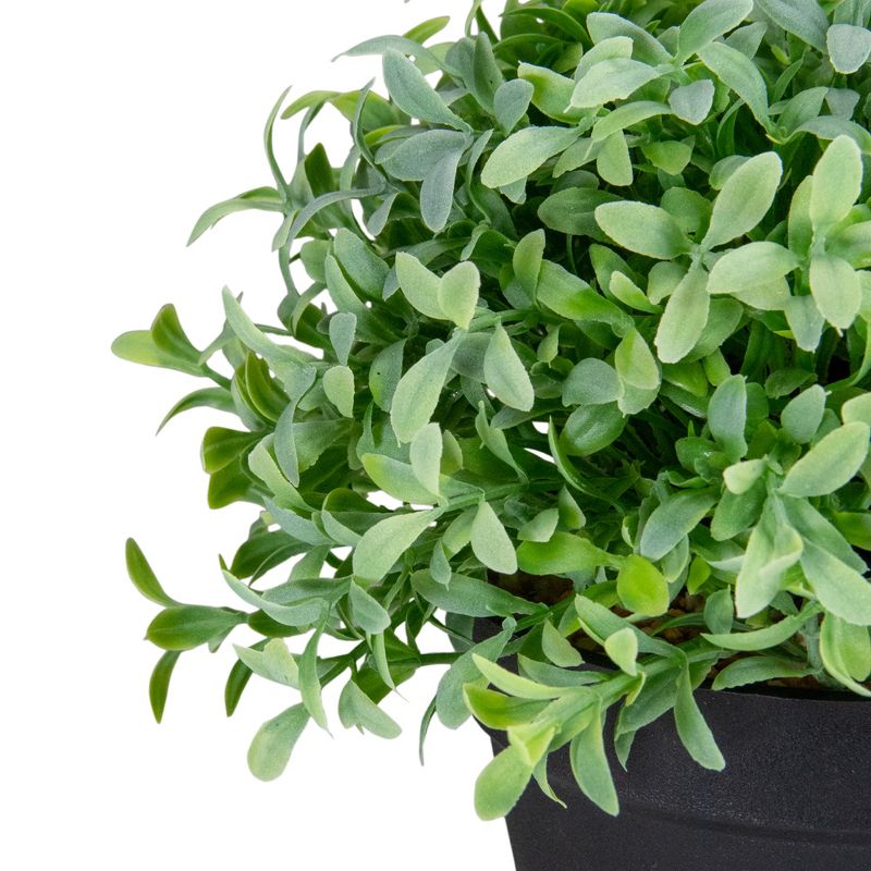 Northlight 7.5" Potted Green Artificial Boxwood Plant