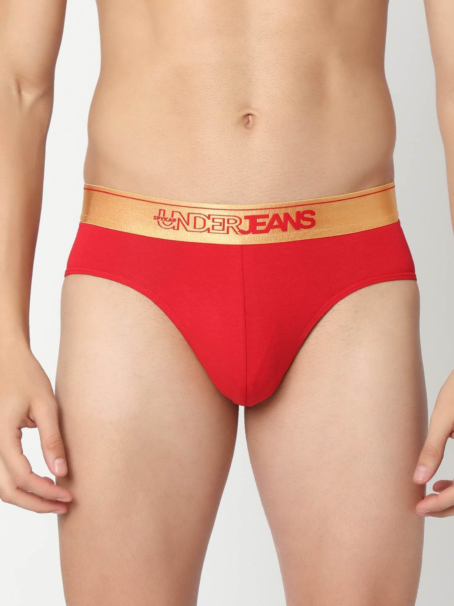 Underjeans By Spykar Multi Regular Fit Briefs - Pak of 2