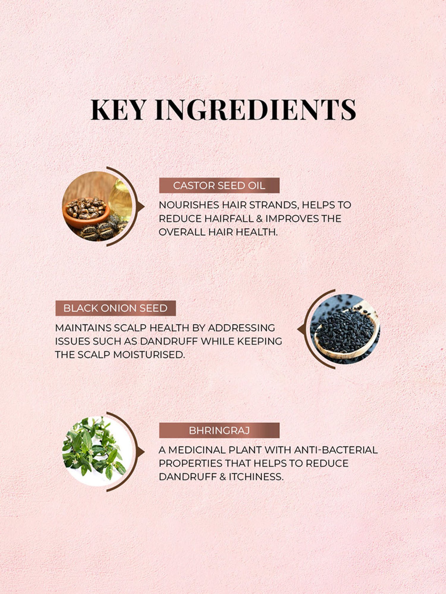 JUST HERBS Castor + Black Onion Seed Conditioner - 100 ml