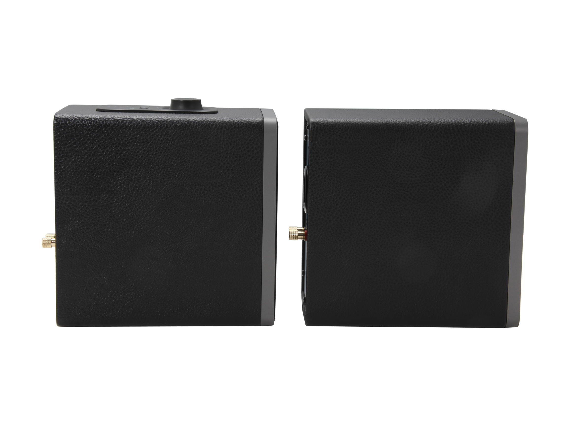 Microlab SP-H21BK 2.0 Bluetooth Wireless Speaker (Black)