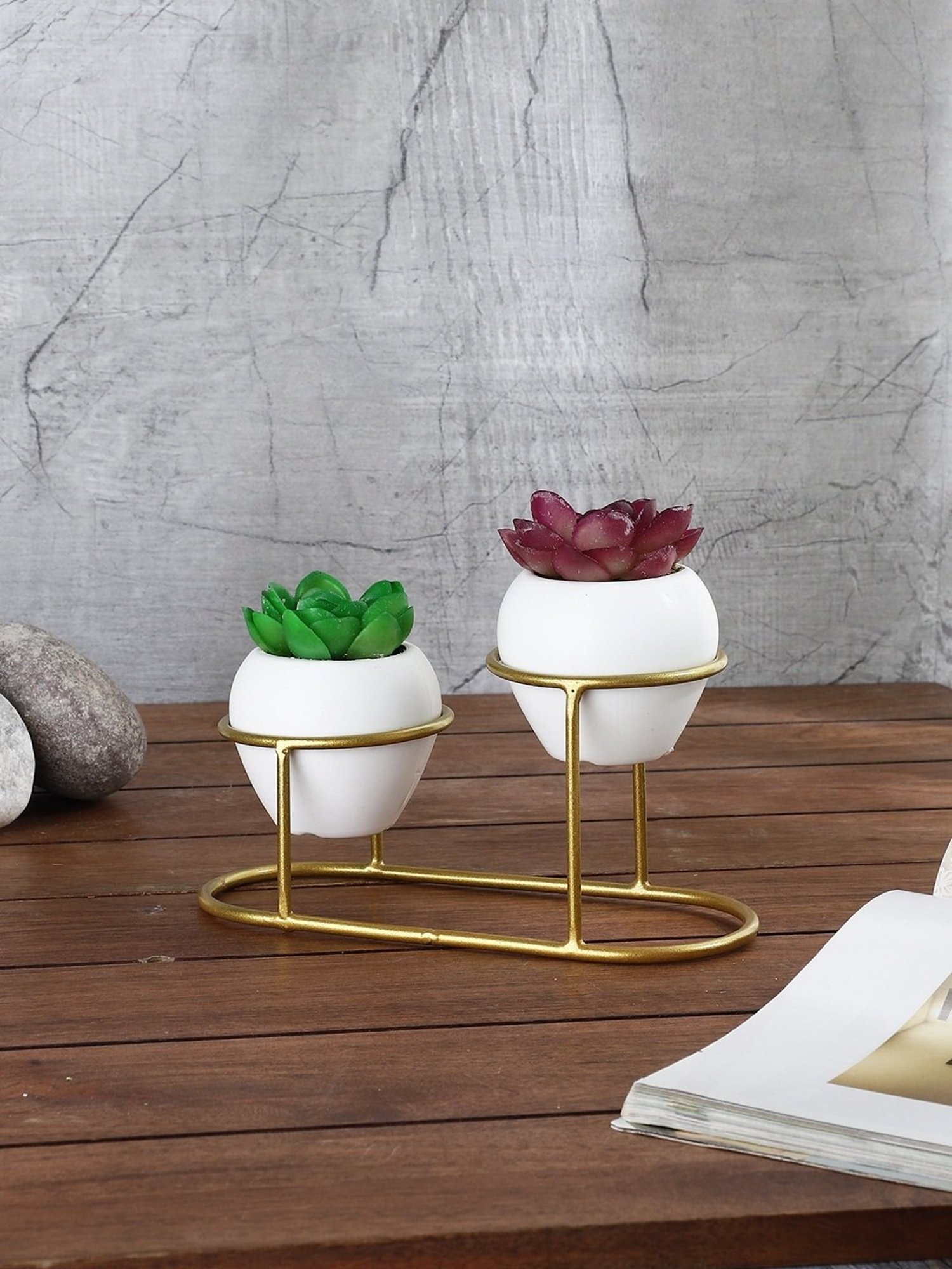 Foliyaj Multicolor Plastic Artificial Cactus Plants with Metal Holder - Set of 2