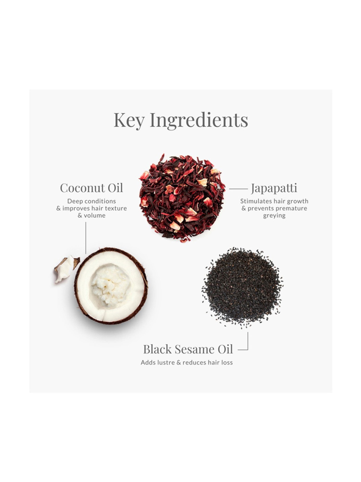 Earthraga Moroccan Argan Hair Oil - 100 ml