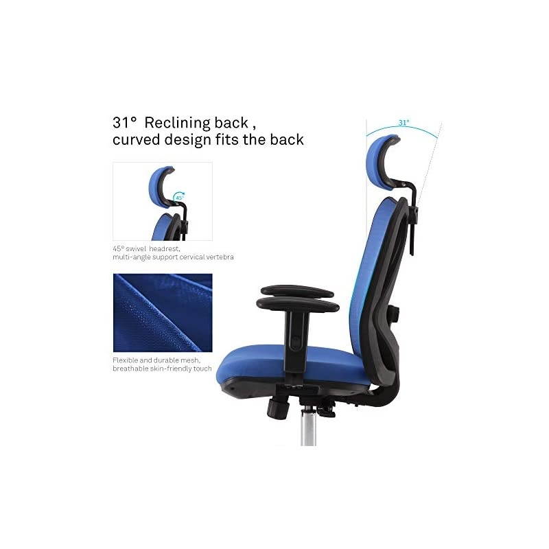 Ergonomic Office Chair, Computer Desk Chair, Adjustable Headrest, Backrest, and Armrests, Lower-Back Support, Mesh (Blue)