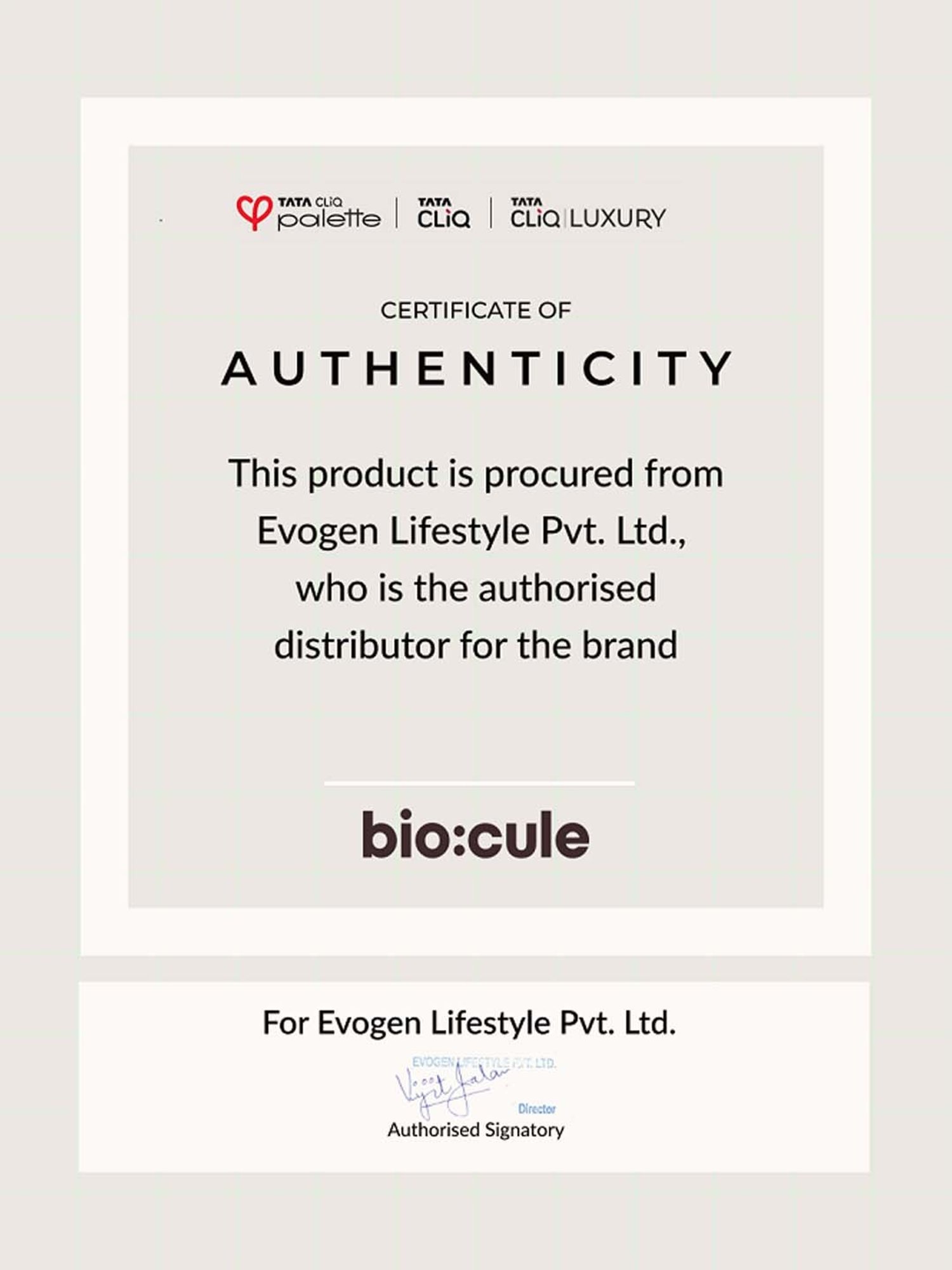 Biocule Vitamin E Olive + Almond Glow Lip Balm - 12 gm