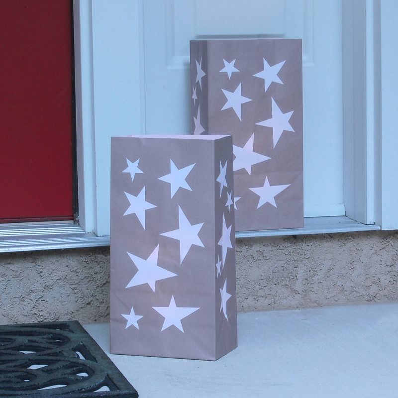 24ct Luminaria Bags Silver