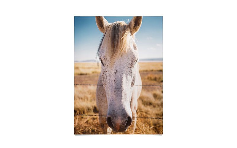 Bethany Young Photography West Texas Wild Poster- 18" x 24" - Society6