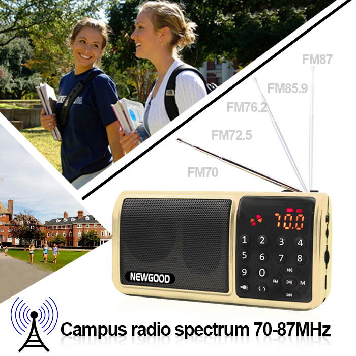 NEWGOOD Portable Speaker Super Bass with USB/TF/3.5mm AUX/FM Radio hifi digital audio player with Two micro SD card slot and LED flashlight (golden)