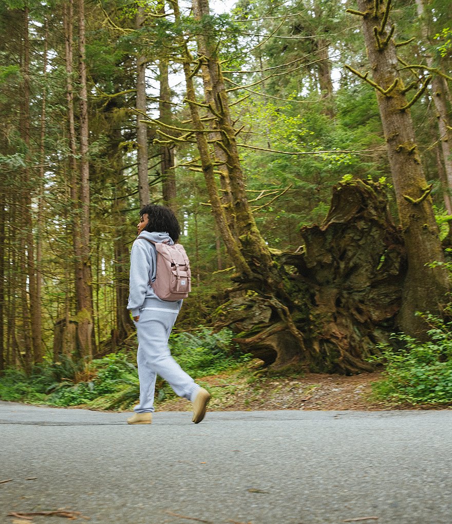 Herschel Supply Co. Little America Mid Volume Backpack