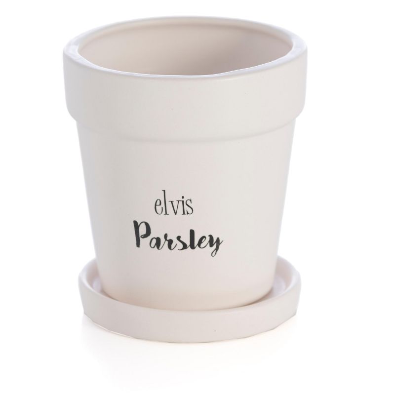 "Elvis Parsley" Planter  - White - Shiraleah