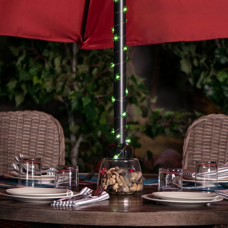 30ct Battery Operated Cactus LED Fairy String Lights - Sterno Home