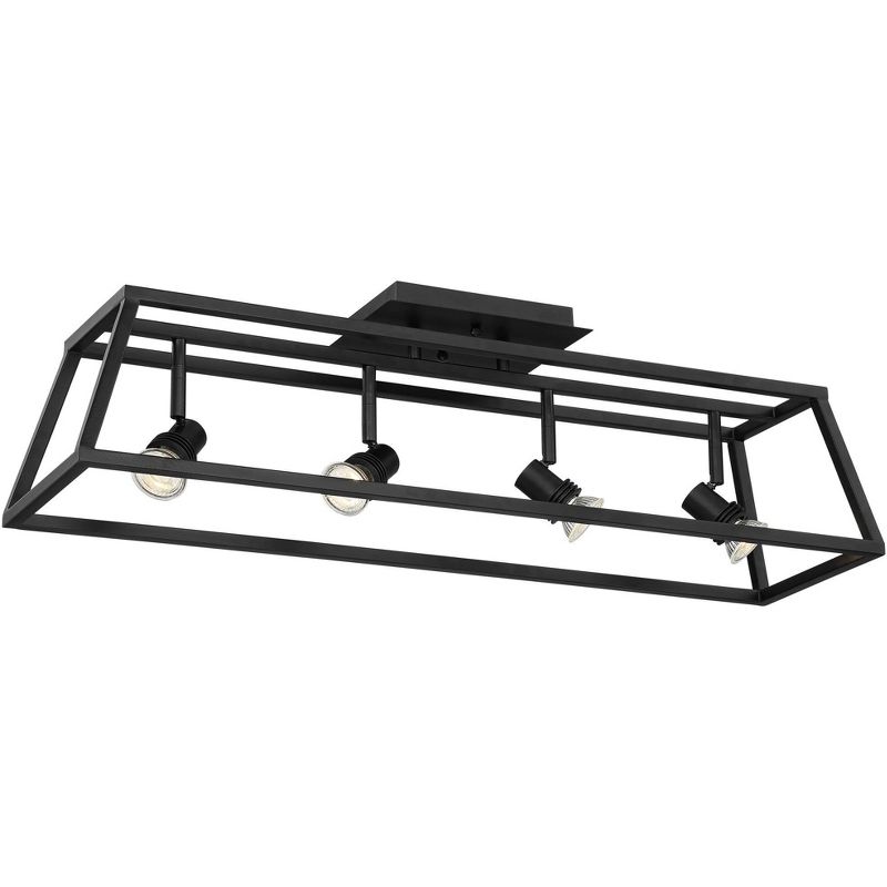 Pro Track Carmel 4-Light Flat Black Cage Track Fixture