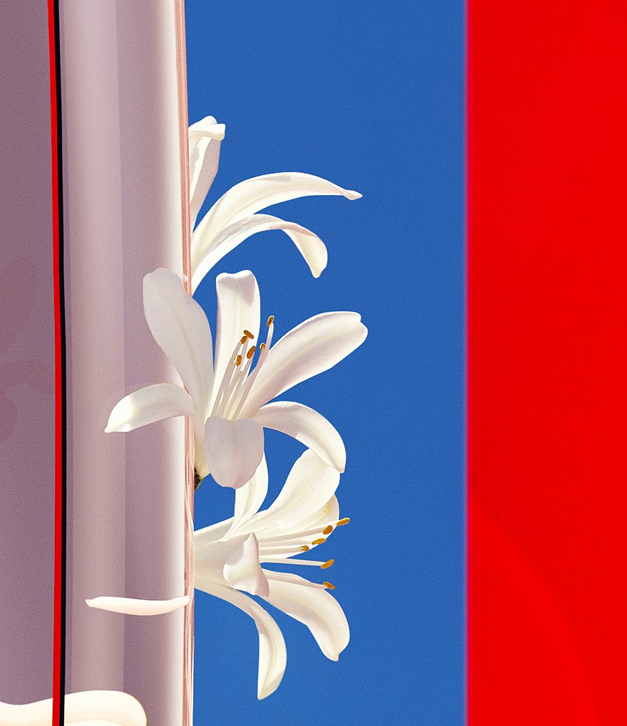 Flower by Kenzo Eau De Vie Eau de Parfum