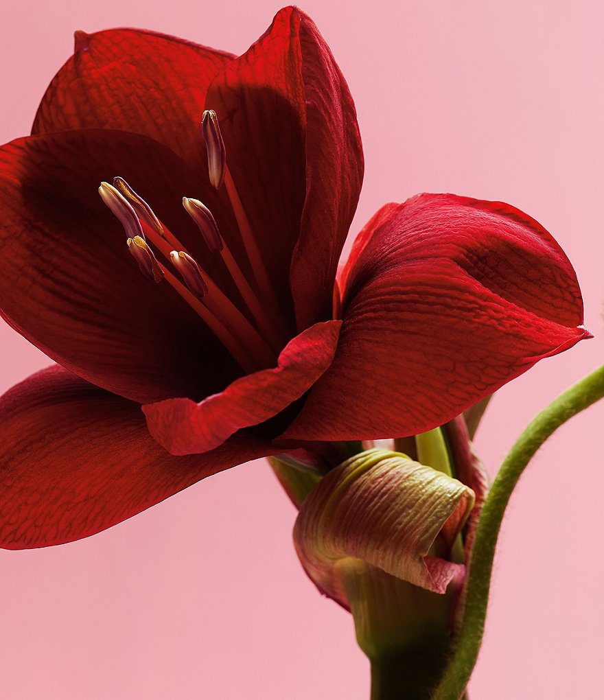 No7 Laboratories Acne Treatment 2% Salicylic Acid - 1.69 fl oz