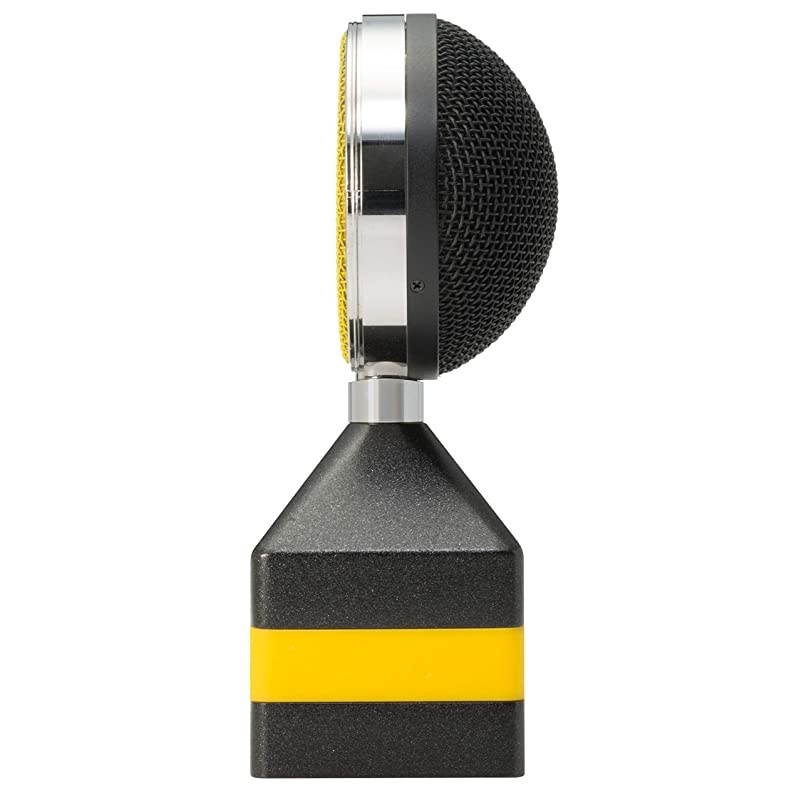 Worker Bee Cardioid Solid State Condenser Microphone with Pop Filter and Shockmount