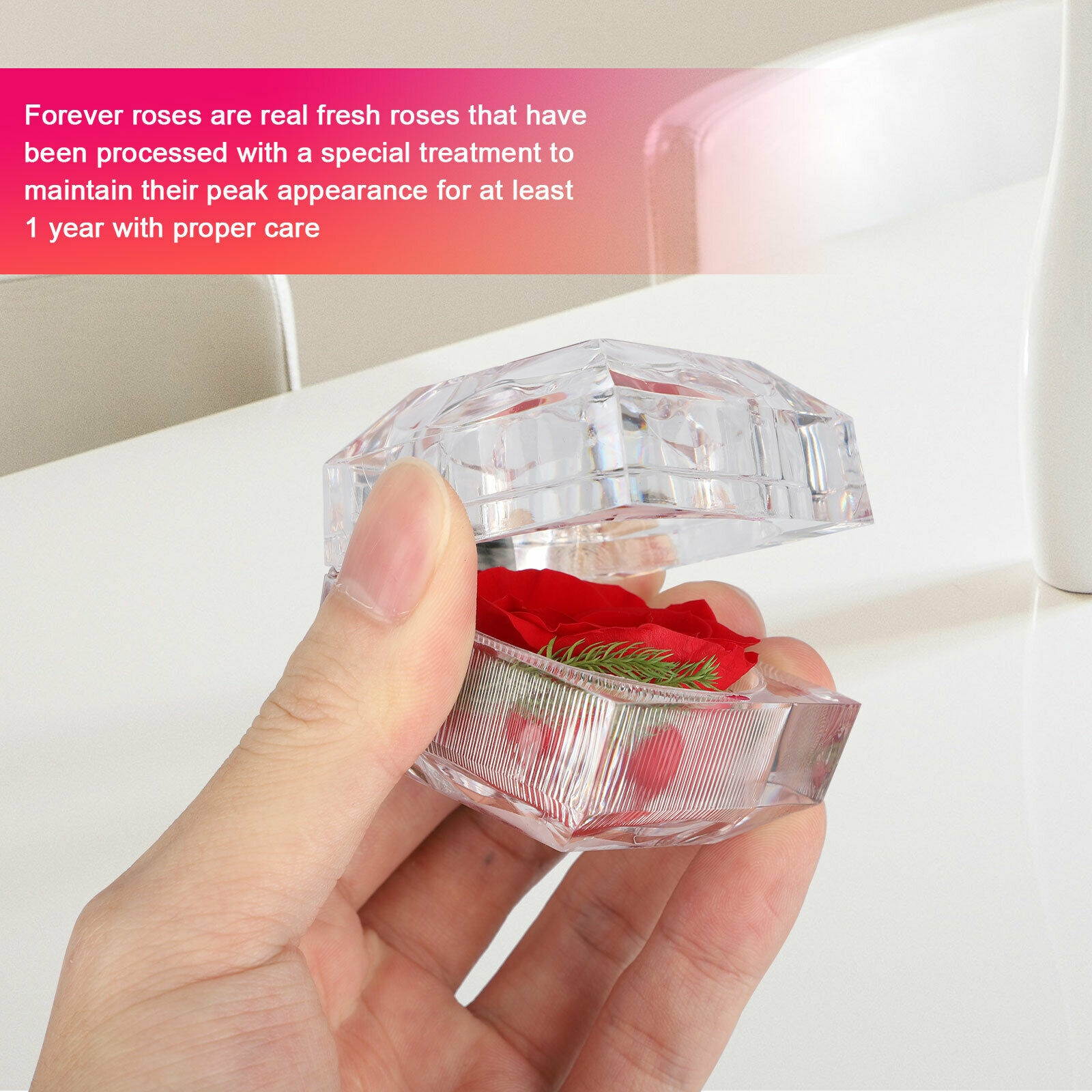 1/3/5PCS Real Preserved Forever Rose Flower Ring Box Birthday Anniversary Gift