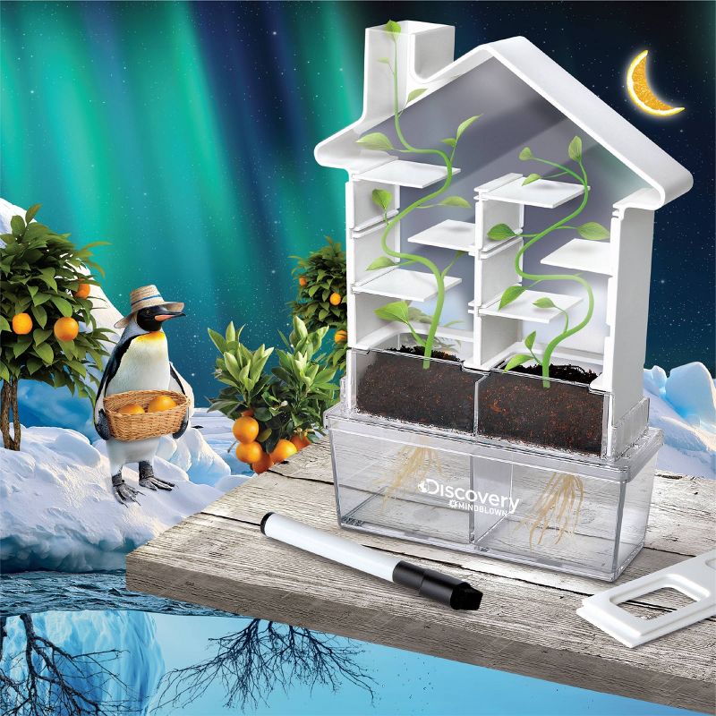 Discovery Kids Kids DIY Maze Planter Science Kit