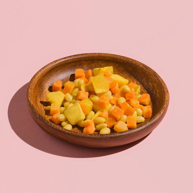 Raised Real Organic Mango + Navy Bean Frozen Baby and Toddler Food - 3.5oz