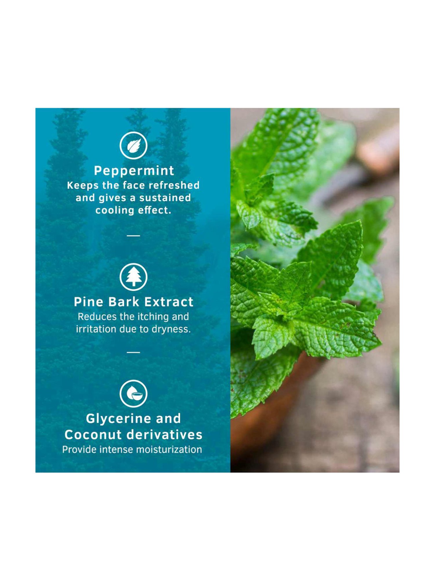 Qraa Men Red Onion Hair Oil - 100 ml