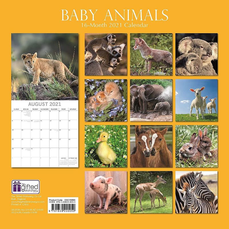 2021 The Everygirl Wall Calendar 15" x 12" Liam - Blue Sky