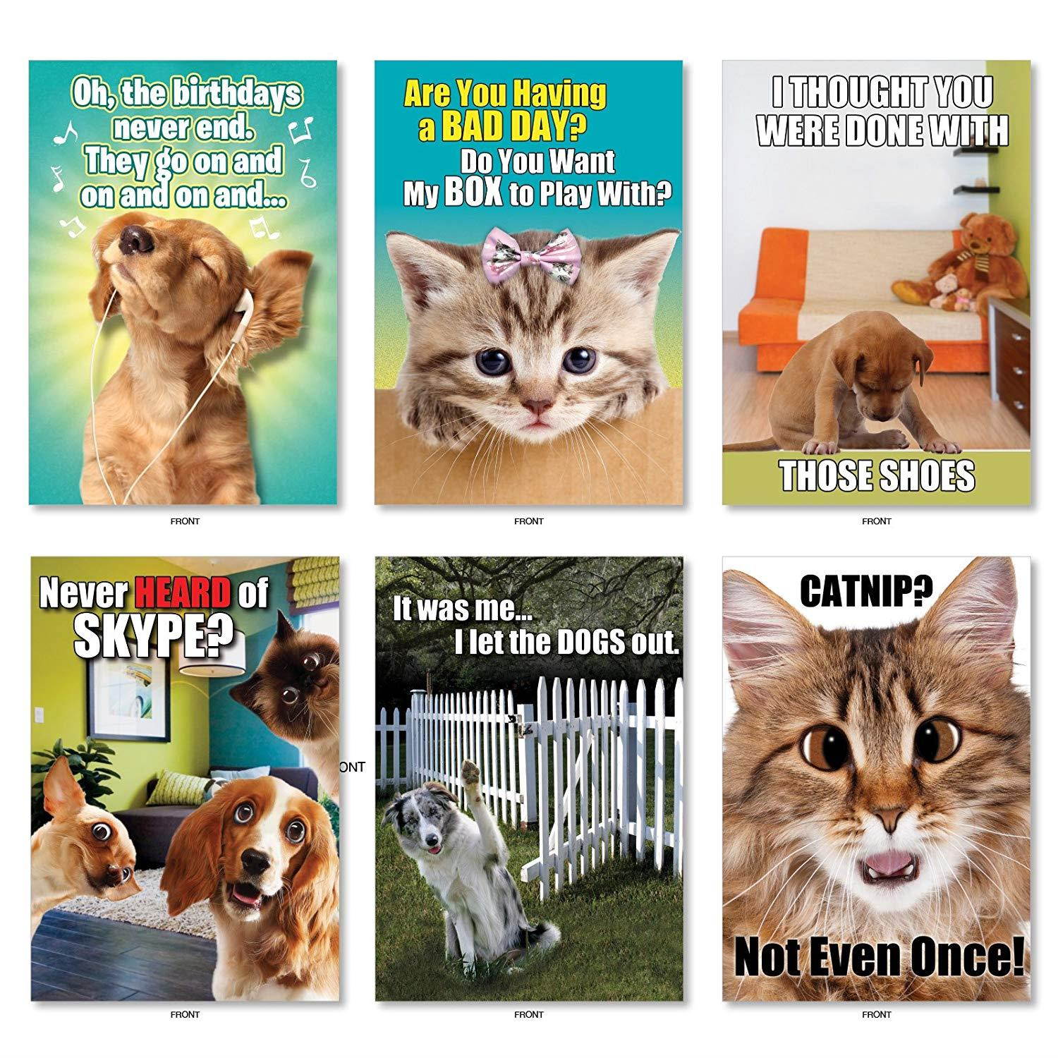 Best Pets Collection': 36 Assorted All Occasions Card With adorable, funny images of cats and dogs, with Envelopes (36 Designs, 1 Card Per Design). AC6654OCB-B1x36