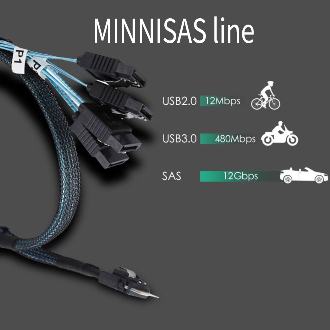 Weastlinks MINI SAS 38P SFF-8654 to 4 X SATA Server Data Transmission Cable 12Gbps Connecting Line for Hard Disk Computer Host