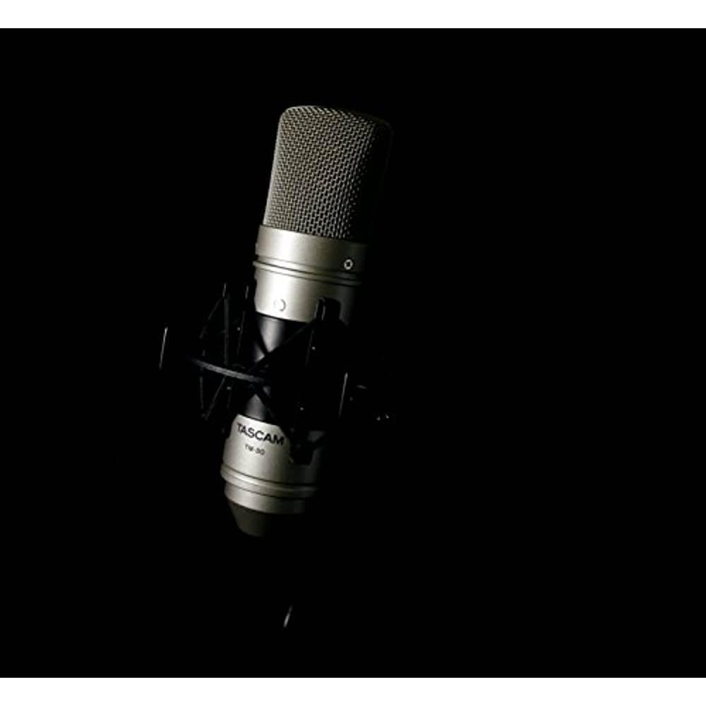 Tascam TM-80 Condenser Microphone