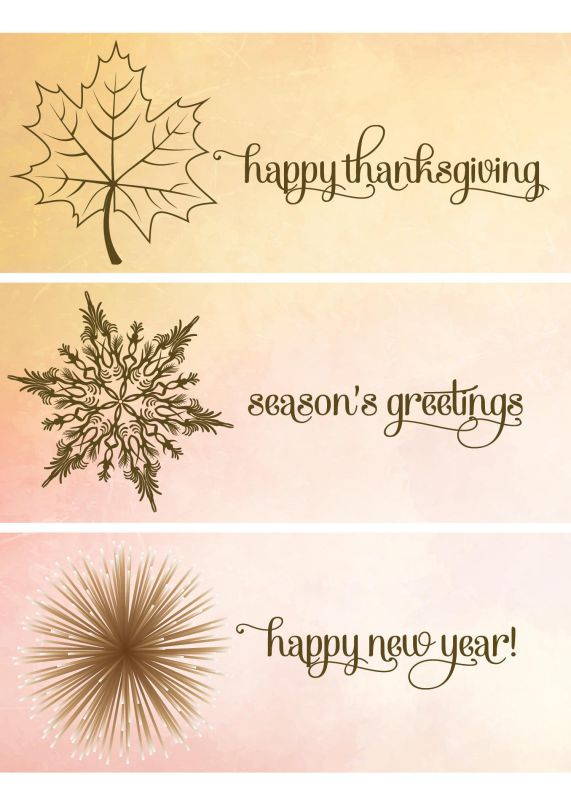 Thanksgiving Greeting Cards - TH1512. Greeting Cards Featuring Messages and Images for the Entire Holiday Season. Box Set Has 25 Greeting Cards and 26 White with Gold Foil Lined Envelopes.