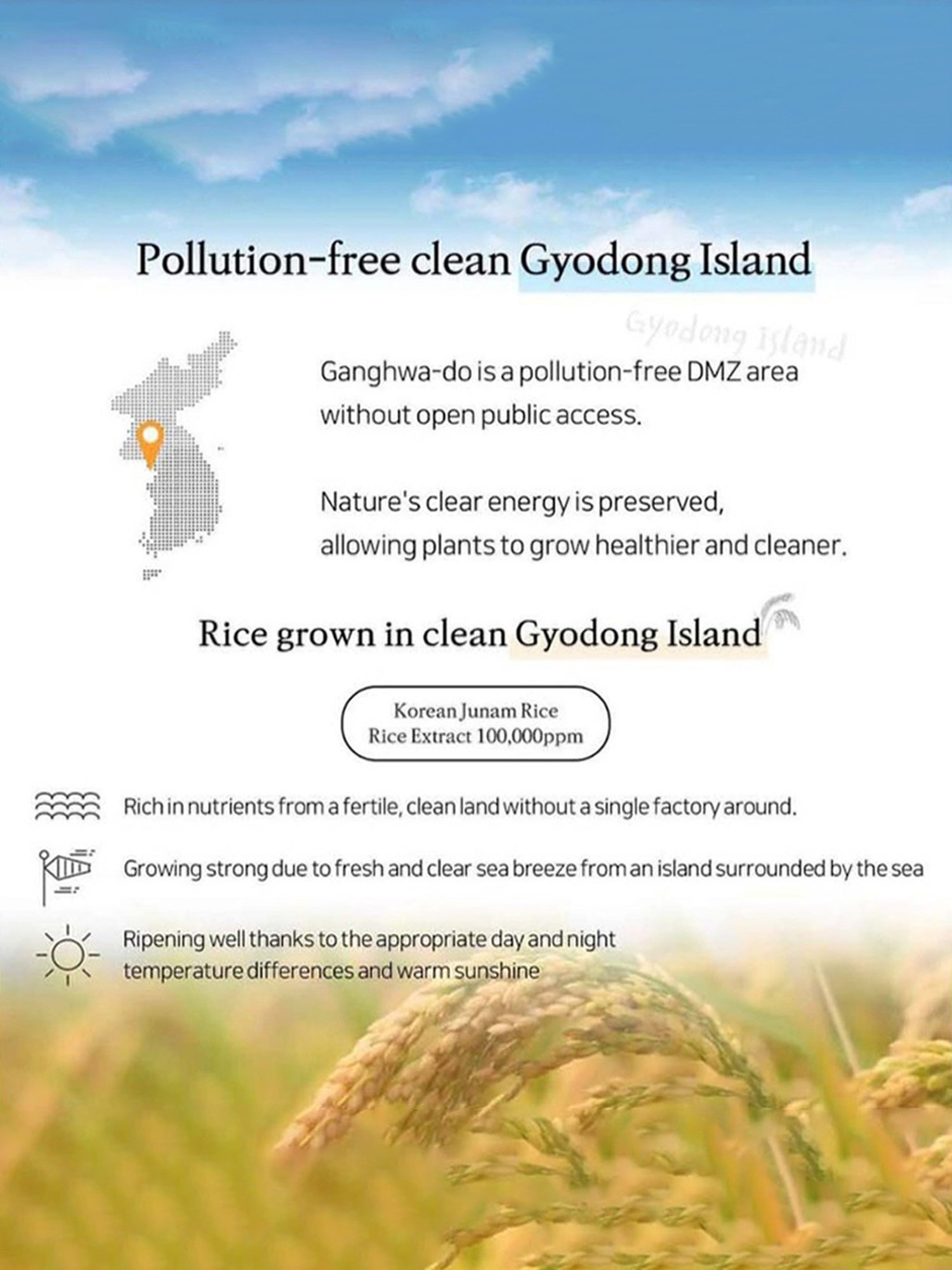 Love Earth Haldi Chandan Rose Face Pack - 50 gm