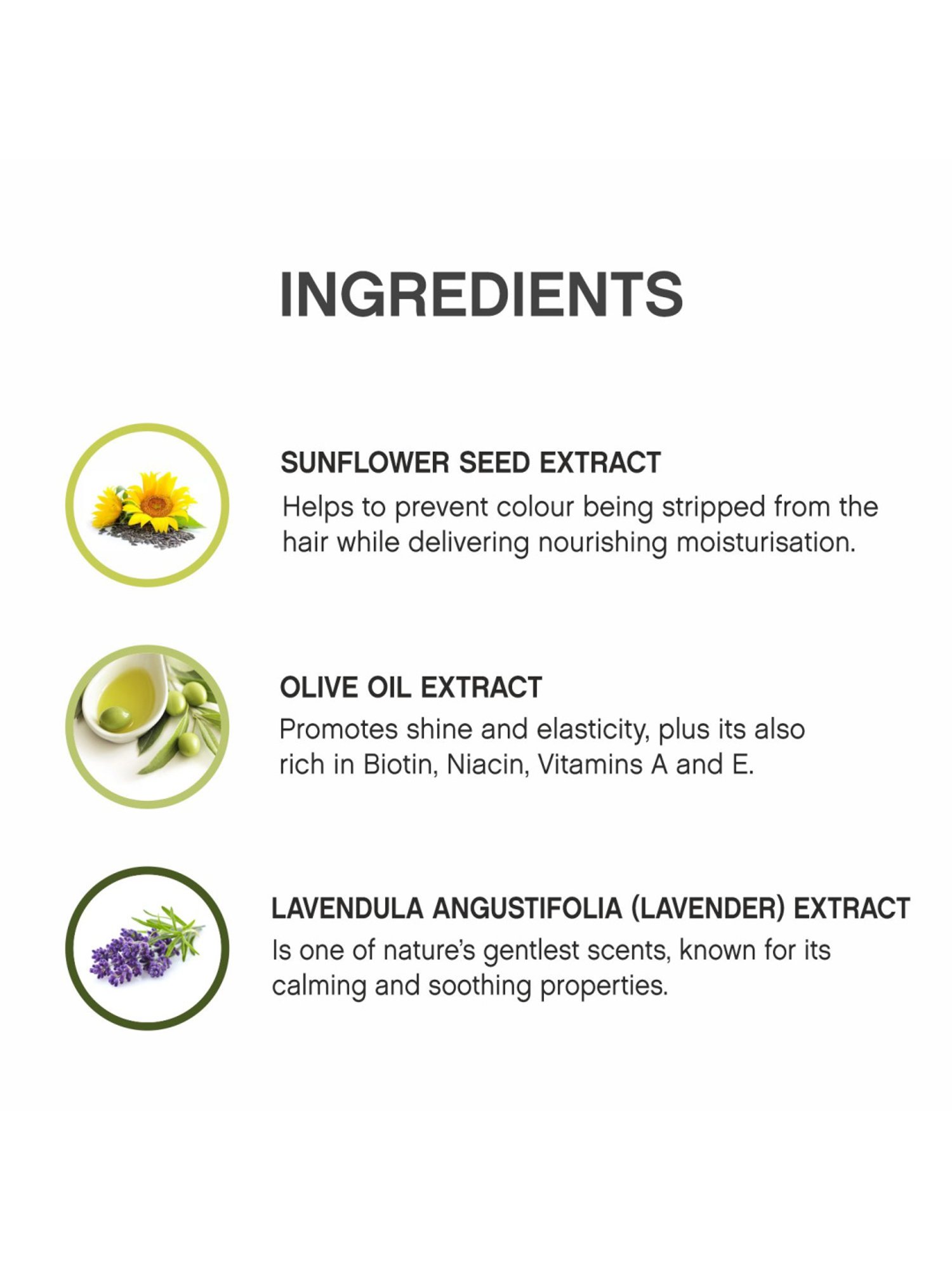 KEVIN MURPHY BLONDE.ANGEL 250 ML