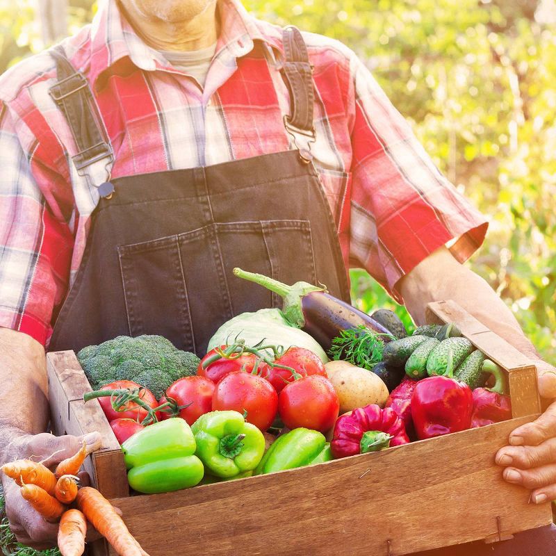 Centrum Whole Food Multivitamin for Men - 60ct