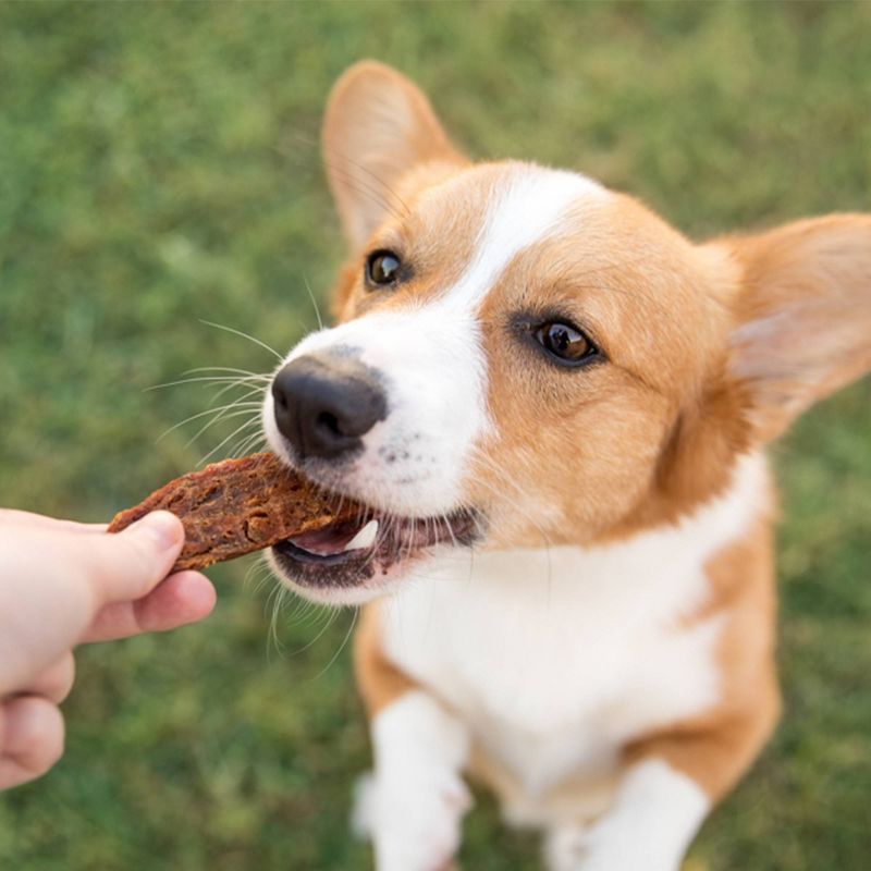 Nature Gnaws Salmon Jerky Strips Dog Treats - 4oz