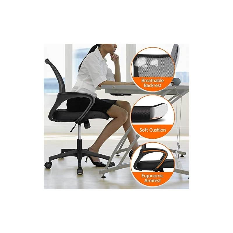 Office Chair Mid Back Swivel Lumbar Support Desk Chair, Height Adjustable Computer Ergonomic Mesh Chair with Armrest Black, 2-Pack