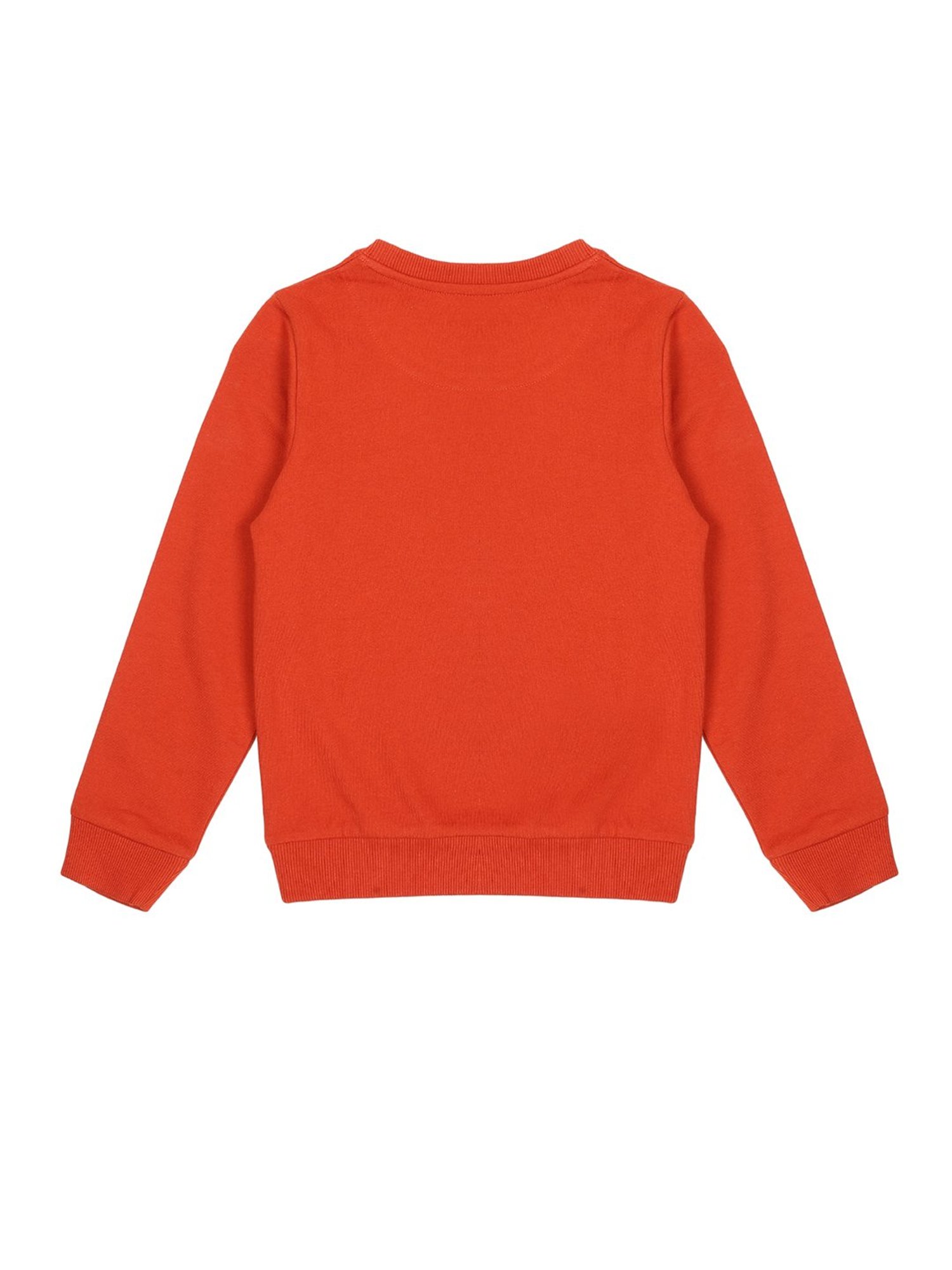 Plum Tree Kids Orange Printed Full Sleeves Sweatshirt